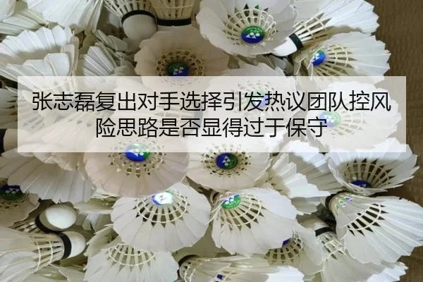 张志磊复出对手选择引发热议团队控风险思路是否显得过于保守