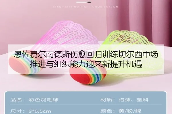 恩佐费尔南德斯伤愈回归训练切尔西中场推进与组织能力迎来新提升机遇