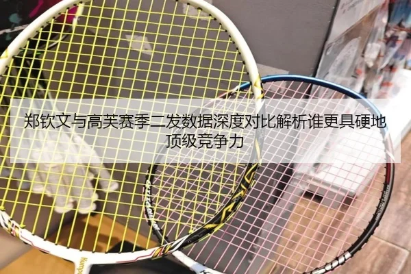 郑钦文与高芙赛季二发数据深度对比解析谁更具硬地顶级竞争力