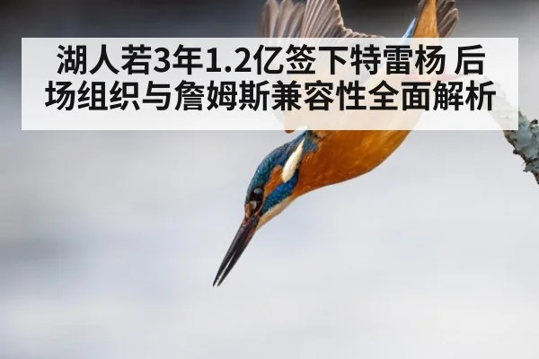 湖人若3年1.2亿签下特雷杨 后场组织与詹姆斯兼容性全面解析