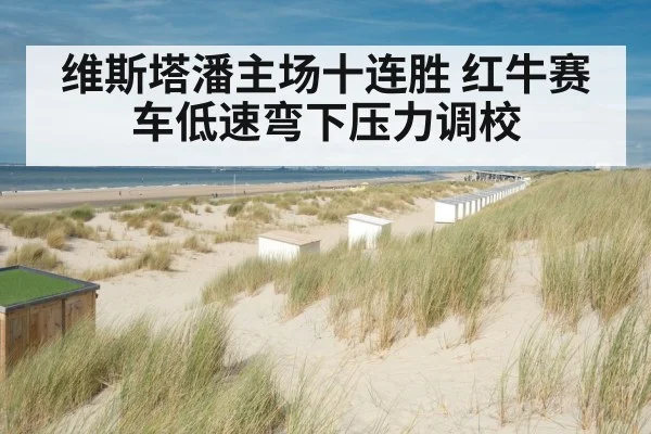 维斯塔潘主场十连胜 红牛赛车低速弯下压力调校