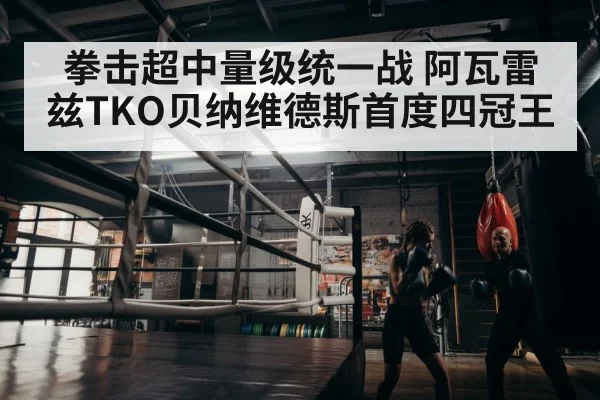 boxer training
